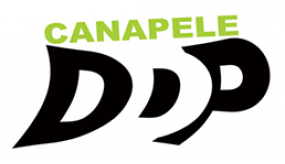 Set Canapele Felicia A8511BZ